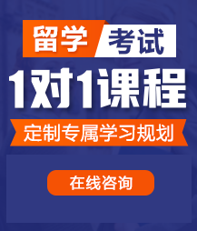 大鸡巴操浪屄视频留学考试一对一精品课